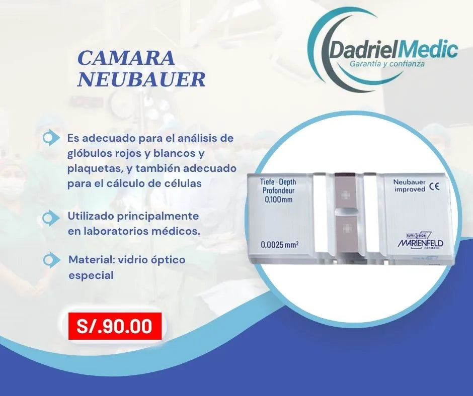 Camara neubauer